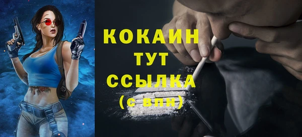 spice Богородицк