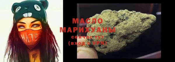spice Богородицк