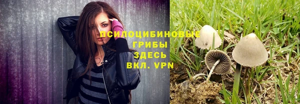 стаф Бронницы