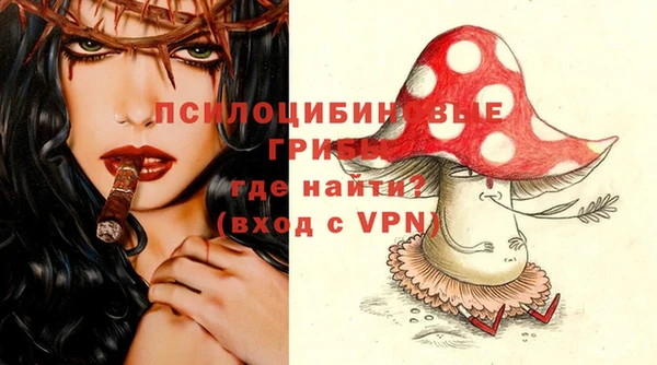 spice Богородицк