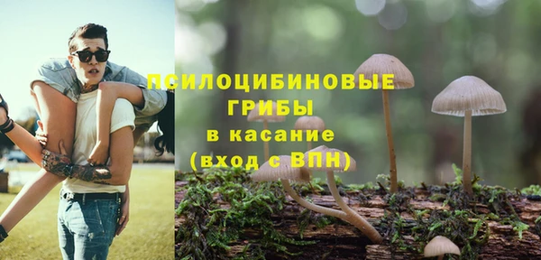 мдпв Богданович