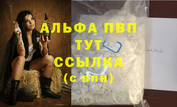 spice Богородицк