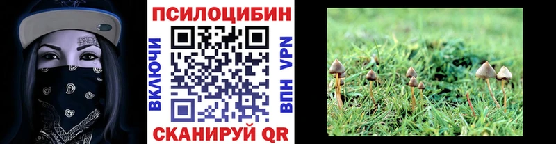 Псилоцибиновые грибы ЛСД Мосальск